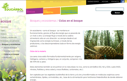 Bosques y ecosistemas - ciclos en el bosque - carátula.png