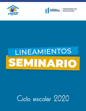 Lineamientos de seminario - ciclo escolar 2020 - carátula.png