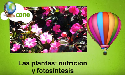 Las plantas nutrición y fotosíntesis - carátula.png