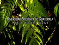 Diversidad biológica de Guatemala - carátula.png