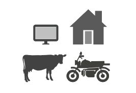 Televisor, casa, vaca y motocicleta.png