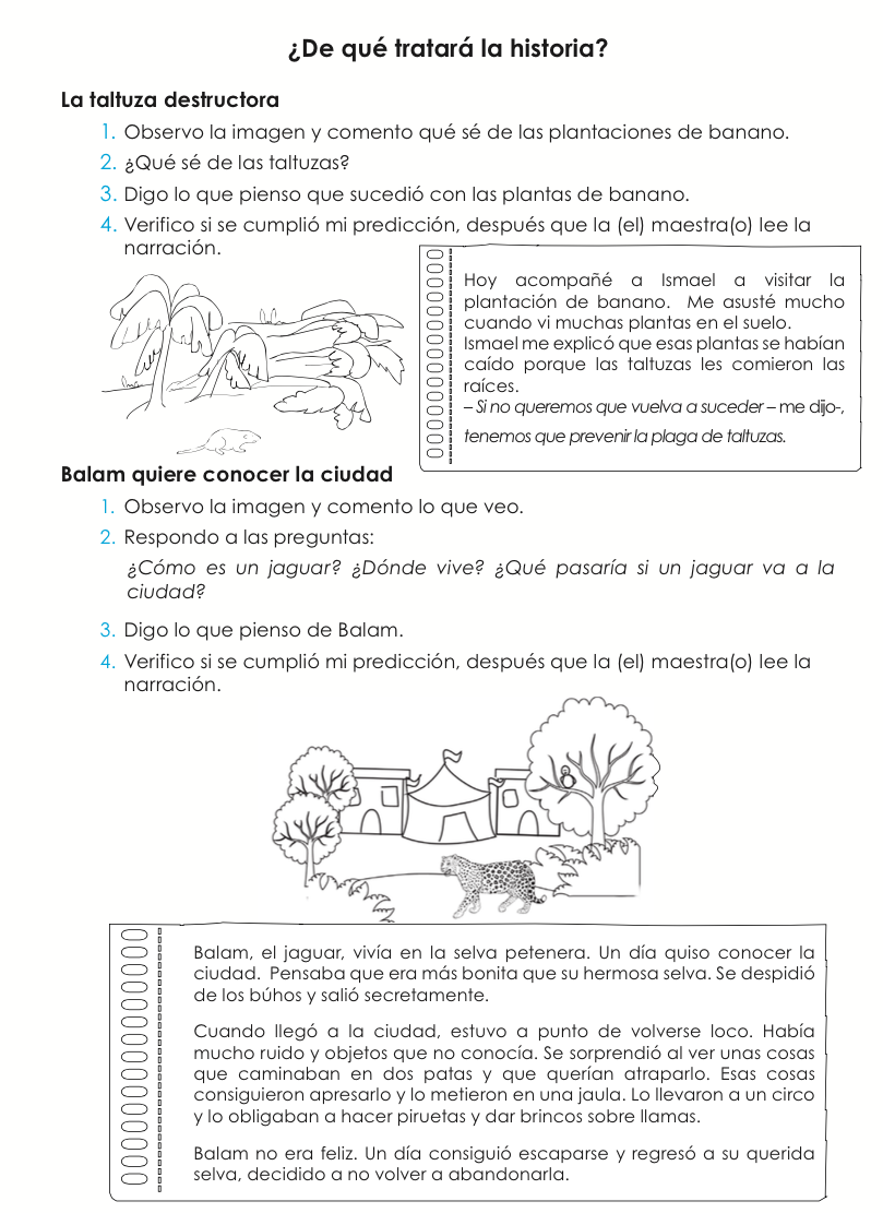 ¿De Qué Tratará La Historia? - CNB