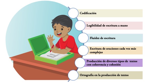 Figura 23. Componentes del aprendizaje de la escritura en los primeros grados del nivel primario
