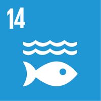 ODS 14. Vida marina