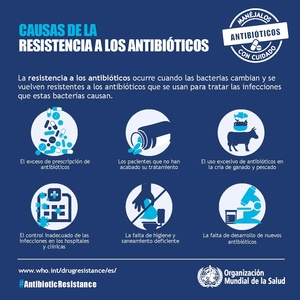 Causas de la resistencia a los antibióticos.pdf