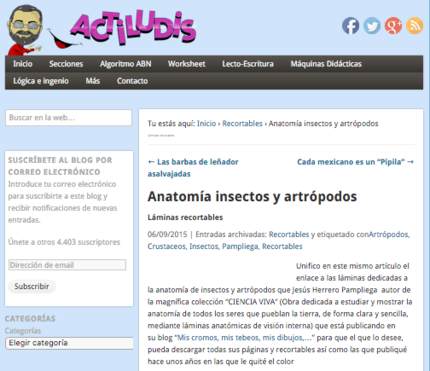 Anatomía insectos y artrópodos - carátula.png