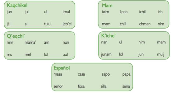 Ejemplos de palabras para discriminación de sonidos en 5 idiomas.png