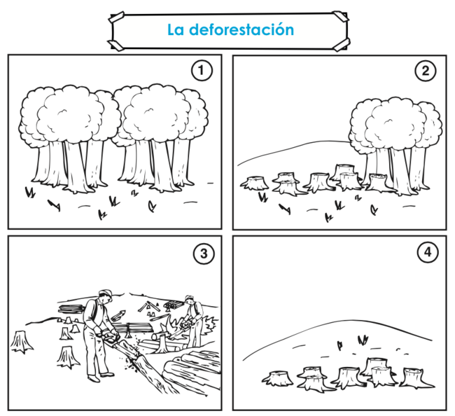 La deforestación.png