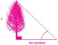 Aprendo y enseño - Matemáticas 5 pag(20.2).jpg