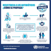 Resistencia a los antibióticos - cómo se propaga