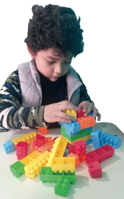 Niño juega con bloques tipo «Lego»