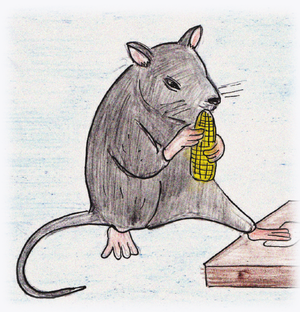 La rata y la ratita-pequeña.png