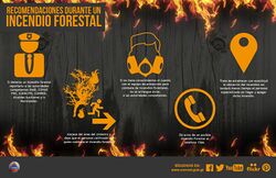 Conred afiche incendios forestales durante