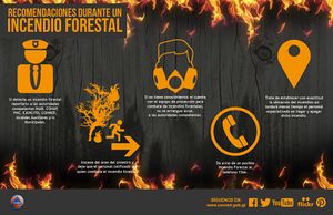 Conred afiche incendios forestales durante.jpg
