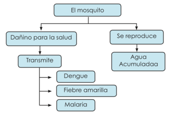 Mapa conceptual de El mosquito.png