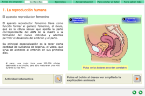 La reproducción humana - carátula.png