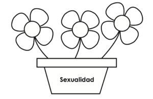 Organizador gráfico - anotar ideas sobre sexualidad