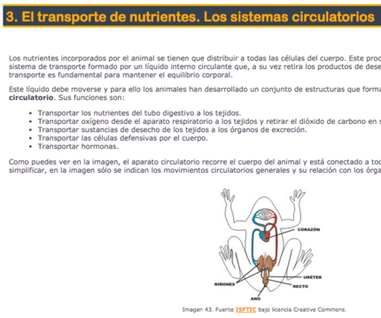 El transporte de los nutrientes - Los sistemas circulatorios - carátula.png
