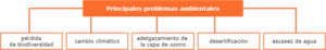 Principales problemas ambientales globales.drawio.png