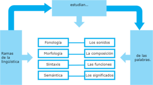 Relación para transmitir ideas completas.drawio.png