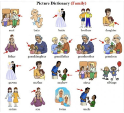 Picture Dictionary (Family) sample.png